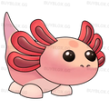 Axolotl