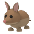 Bandicoot