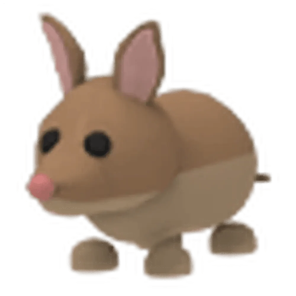 Bandicoot