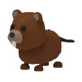 Beaver