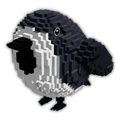 Birb