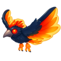 Storm Condor