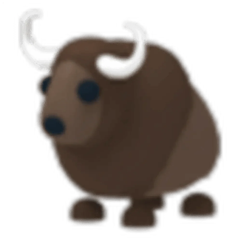 Buffalo