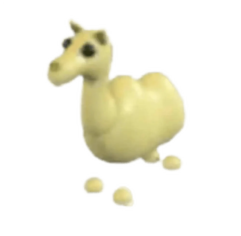 Camel