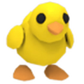 Chick