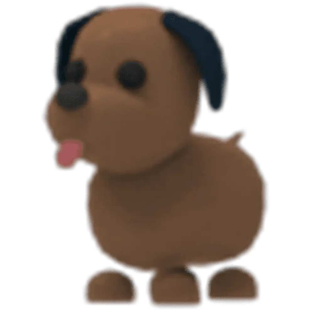 Chocolate Labrador