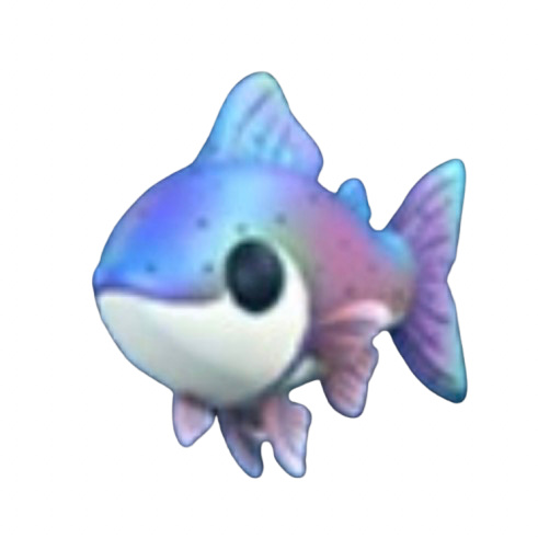 Rainbow Trout