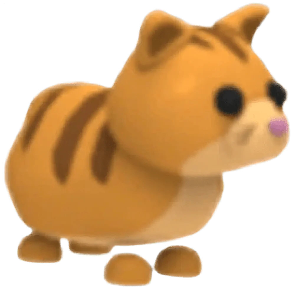 Ginger Cat