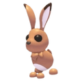 Hare