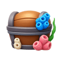 Hermit Crab Box