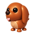 Irish Setter