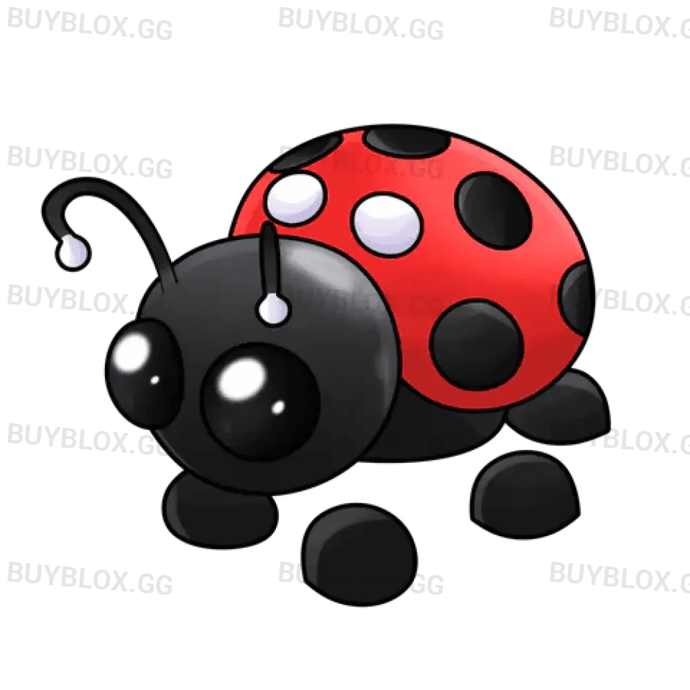 Ladybug
