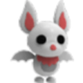 MFR Albino Bat