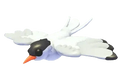 Arctic Tern