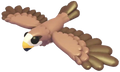 Black Kite