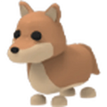 MFR Dingo