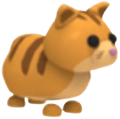 MFR Ginger Cat