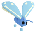 MFR Glacier Moth