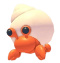 MFR Hermit Crab