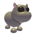 Hippo