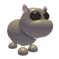MFR Hippo