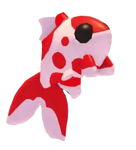 MFR Koi Carp