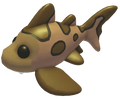 Leopard Shark