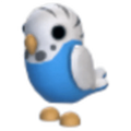 MFR Parakeet