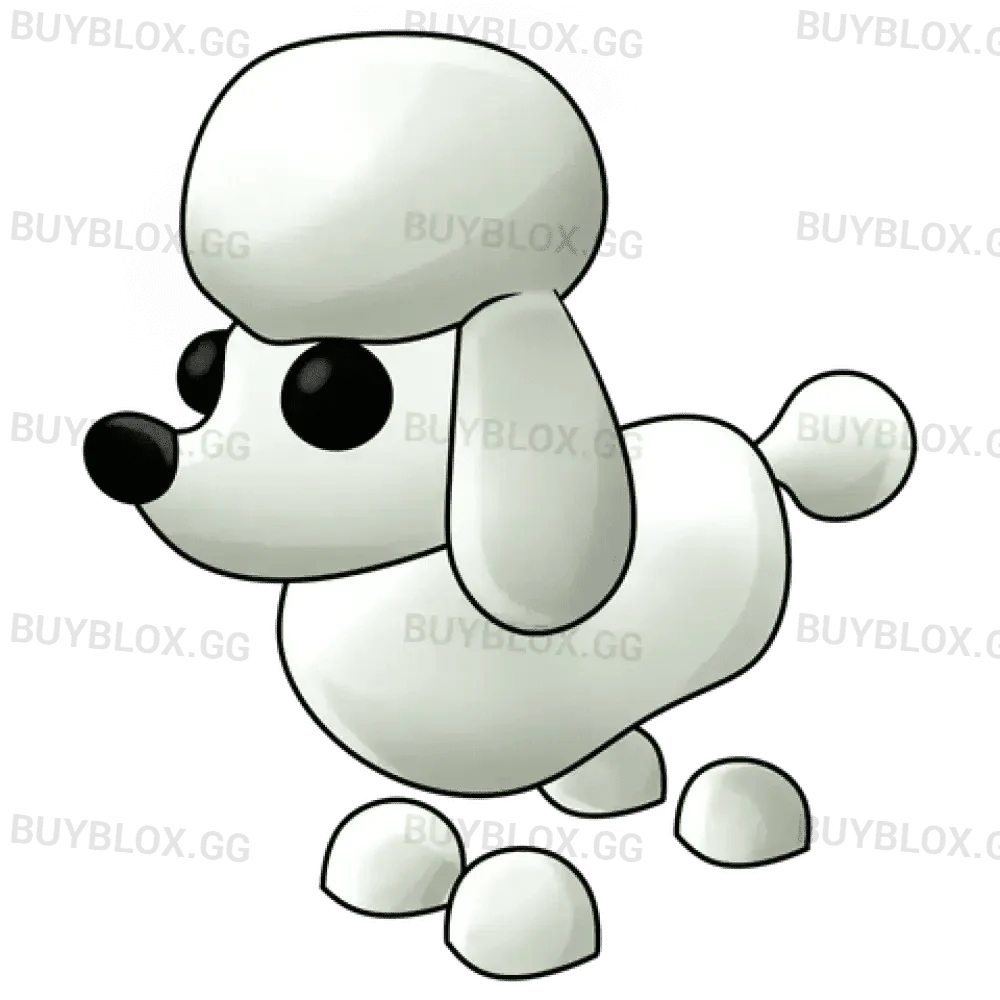 MFR Poodle
