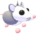 MFR Possum