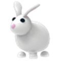 MFR Rabbit