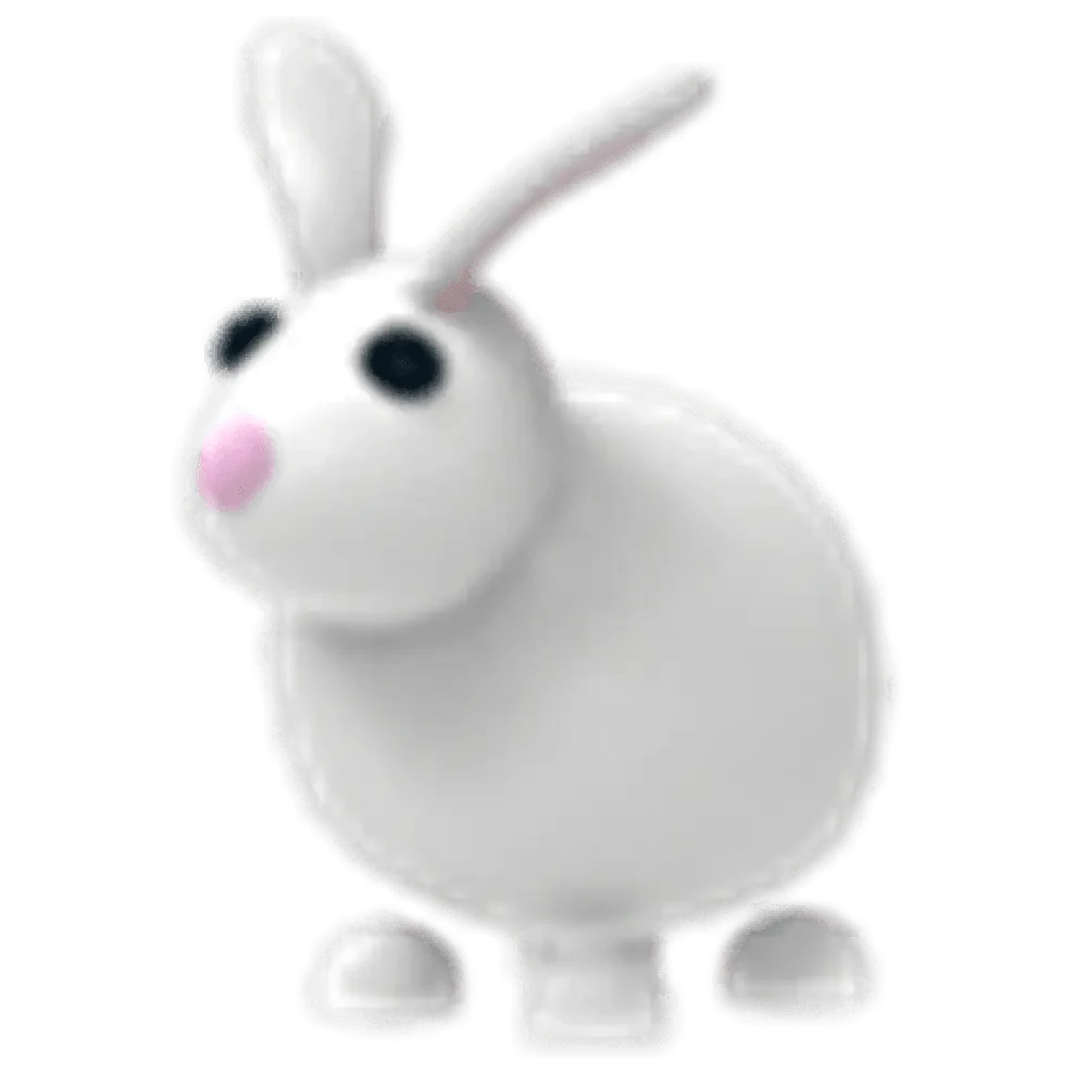 MFR Rabbit