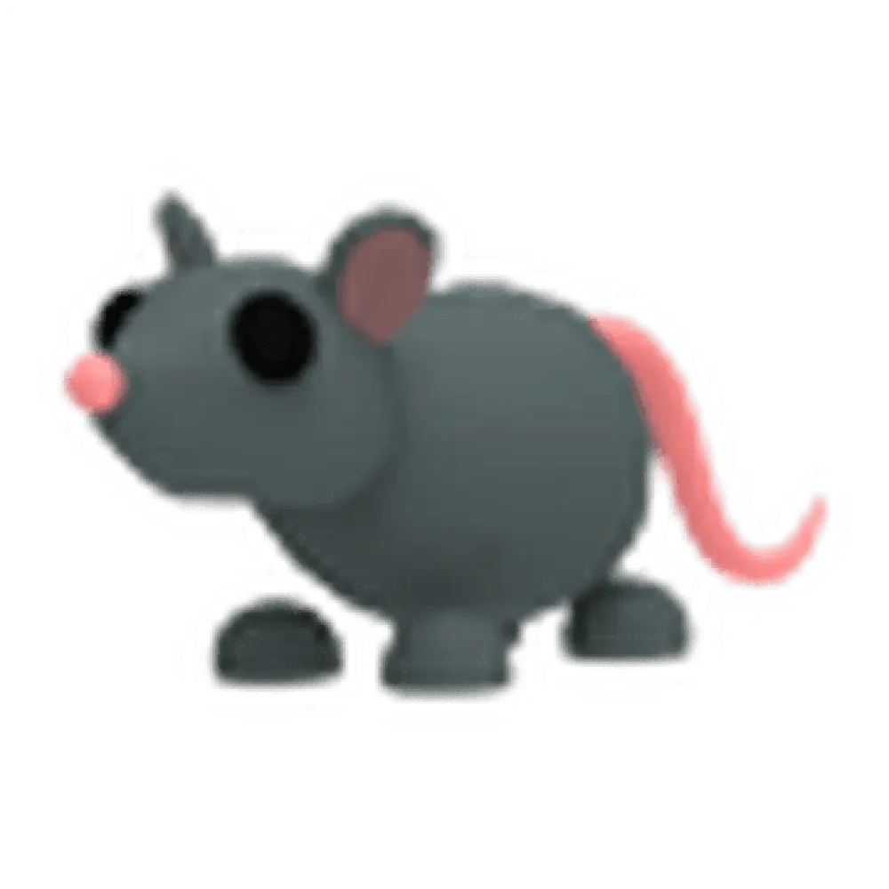 MFR Rat