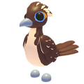 MFR Roadrunner