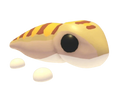 Sandfish