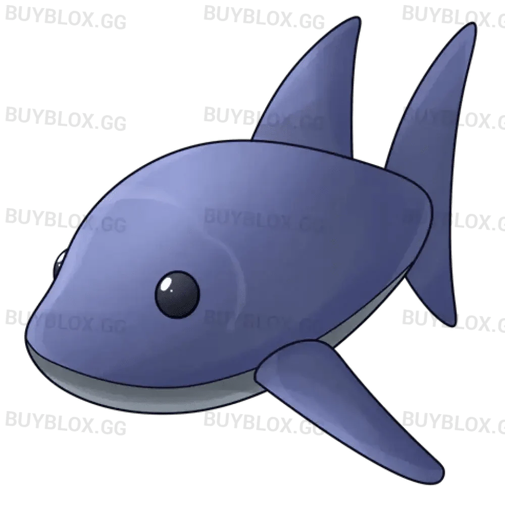 MFR Shark