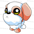 MFR Shih Tzu