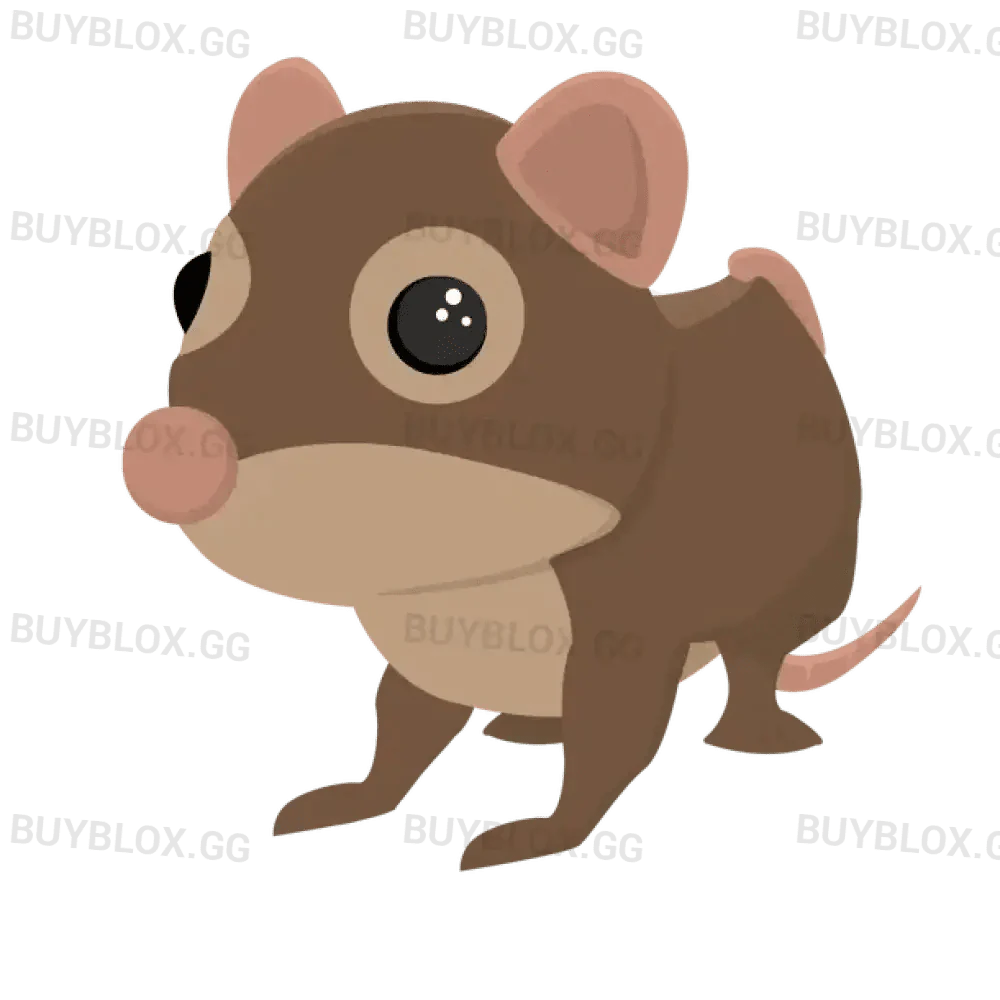 MFR Shrew