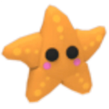 MFR Starfish