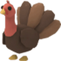 MFR Turkey
