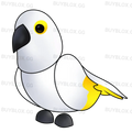 MFR White Amazon