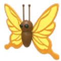 MFR Yellow Butterfly