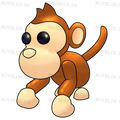 Monkey