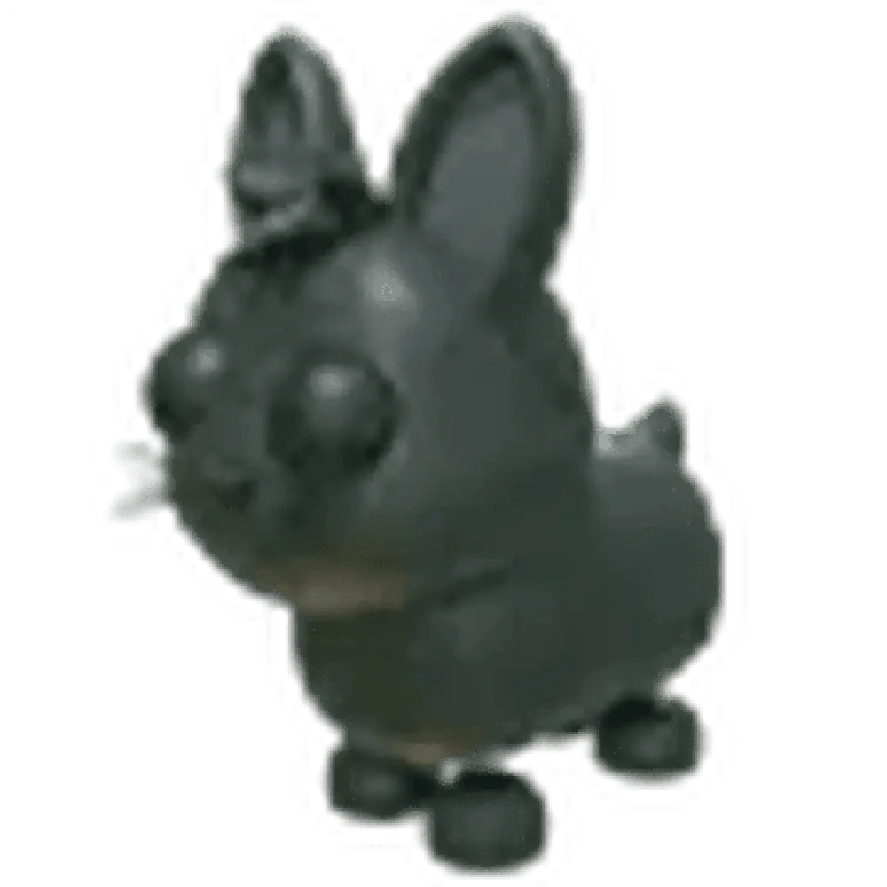 NFR Amami Rabbit