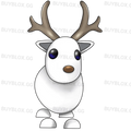 NFR Arctic Reindeer