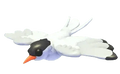 NFR Arctic Tern