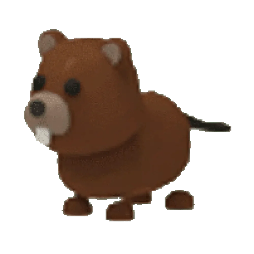 NFR Beaver