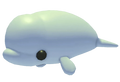 NFR Beluga Whale