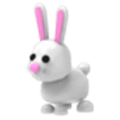 NFR Bunny