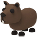 NFR Capybara